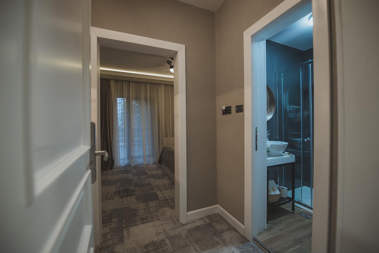 Hotel Elexus Boutique AIR TOUR TRAVEL