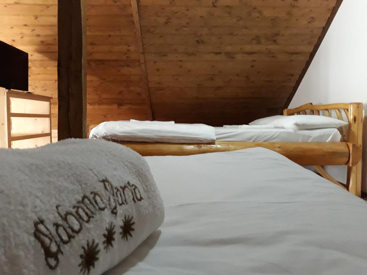 CABANA-DARIA-ARIESENI -2