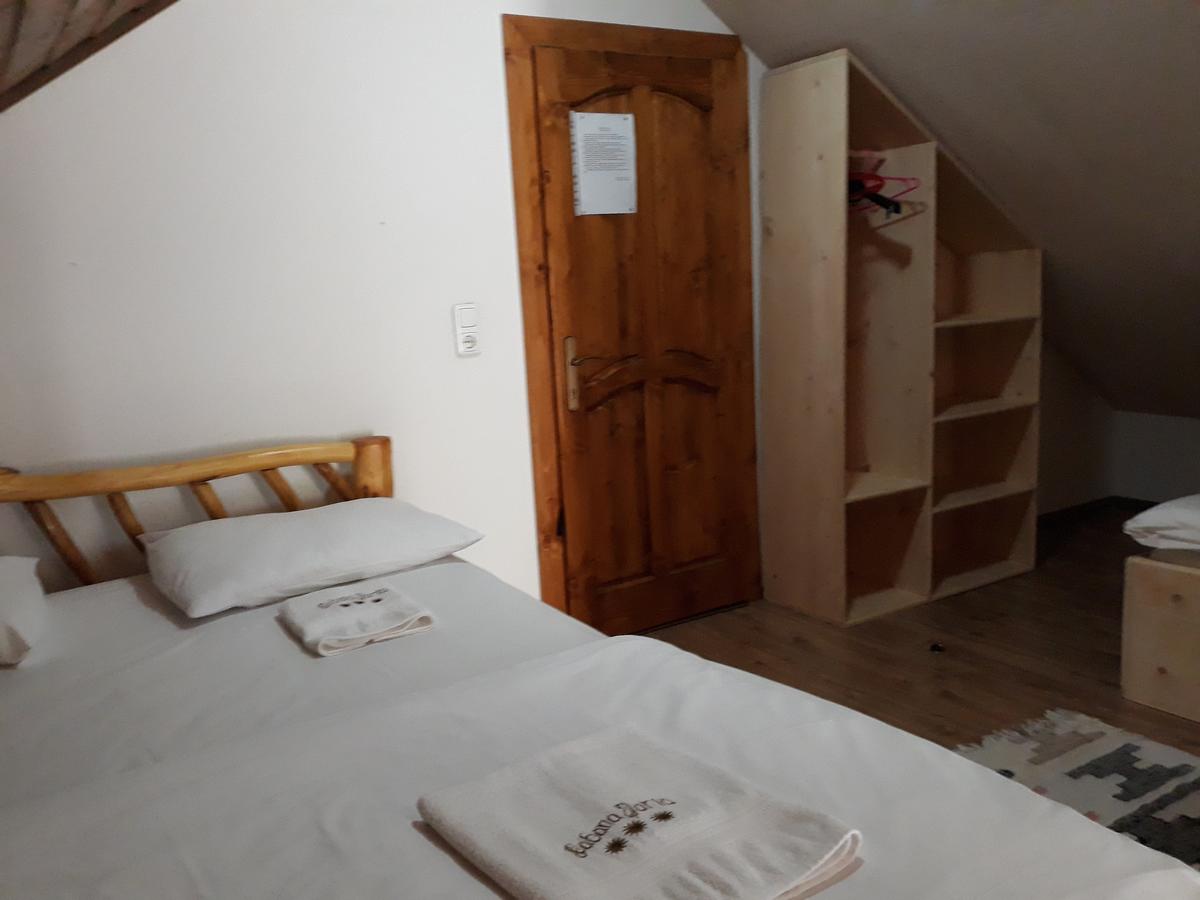 CABANA-DARIA-ARIESENI -5