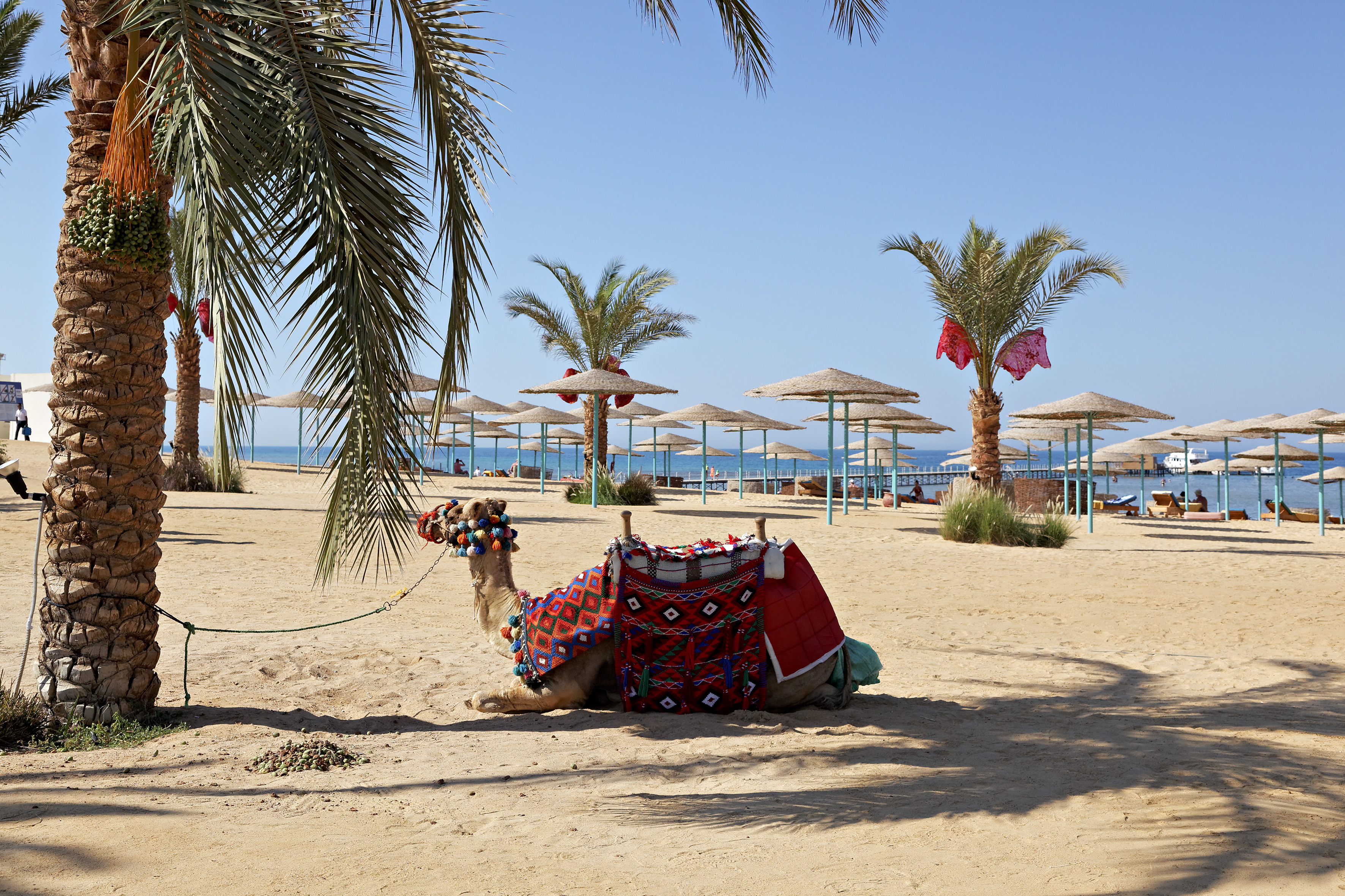 HOTEL-THE-THREE-CORNERS-SUNNY-BEACH-HURGHADA-EGIPT-AIR-TOUR-TRAVEL-9