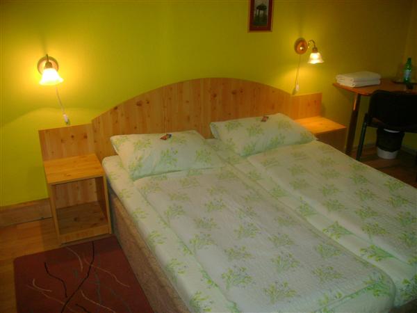 PENSIUNEA-CASA-LORABELLA-BAILE-HERCULANE-ROMANIA-AIR-TOUR-TRAVEL-4