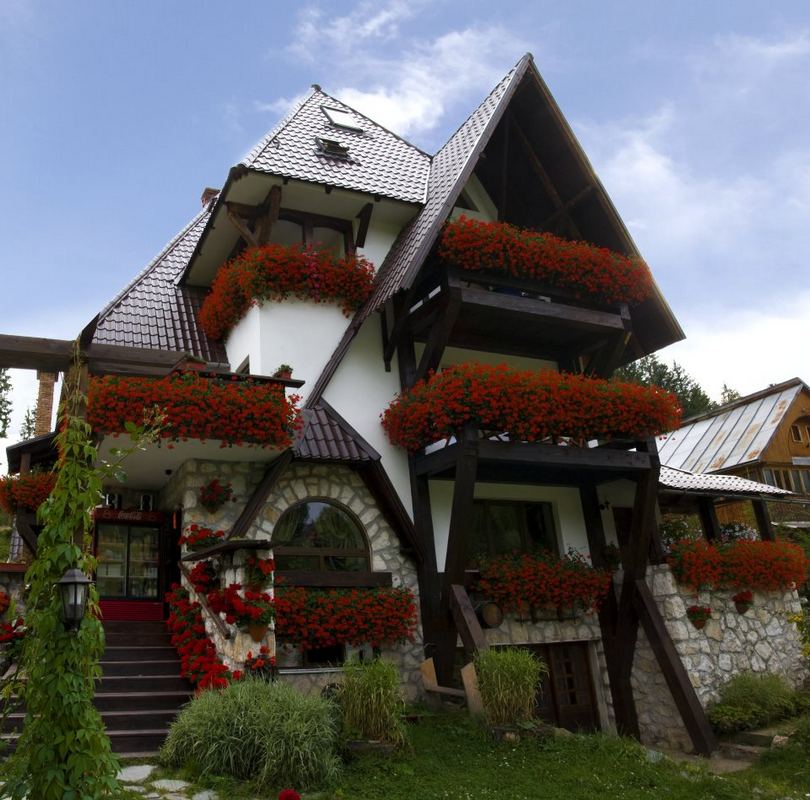 PENSIUNEA-CASA-NOASTRA-ARIESENI-2