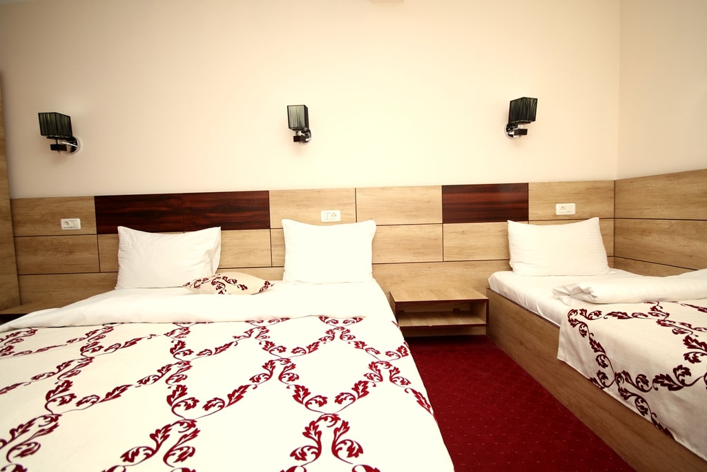 PENSIUNEA-DANUBIA-ESELNITA-ROMANIA-AIR-TOUR-TRAVEL-5
