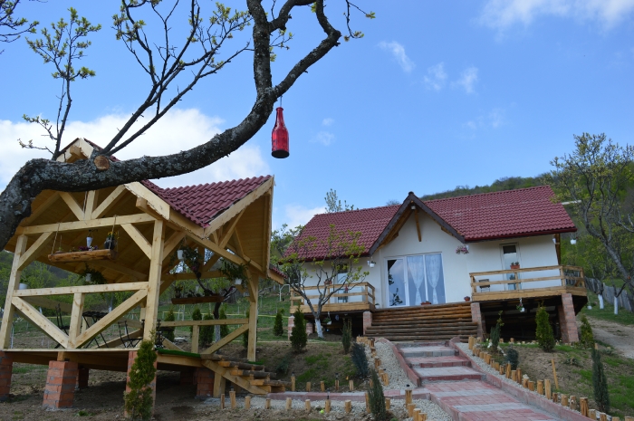 PENSIUNEA-EVA2-BAIA-DE-FIER-ROMANIA-AIR-TOUR-TRAVEL-