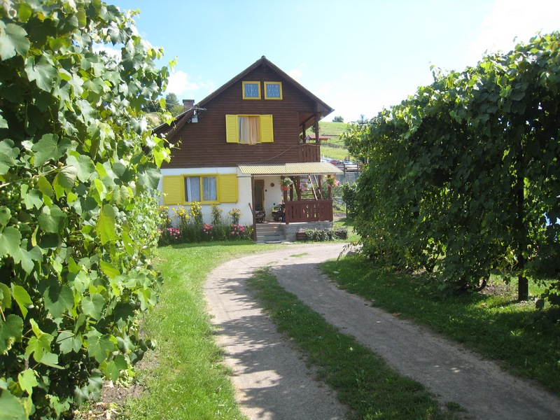 PENSIUNEA-NAPRAFORGO-PRAID-ROMANIA-AIR-TOUR-TRAVEL-2