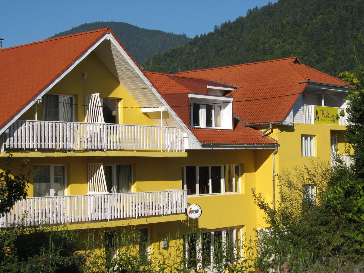 PENSIUNEA_IRIS_BAILE_TUSNAD_ROMANIA_BALNEO_1