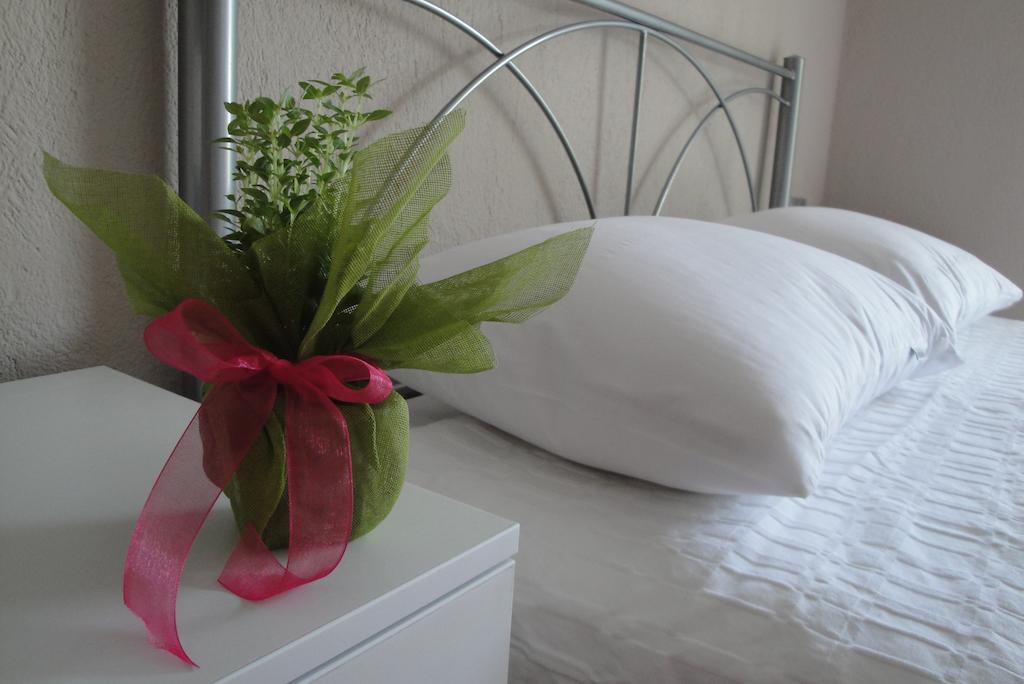 STUDIOS-AMARYLLIS-HALKIDIKI-GRECIA-AIR-TOUR-TRAVEL-3