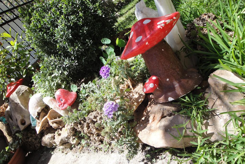 STUDIOS-AMARYLLIS-HALKIDIKI-GRECIA-AIR-TOUR-TRAVEL-6