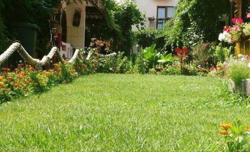VILA-HARIS-COSTINESTI-ROMANIA-AIR-TOUR-TRAVEL-1
