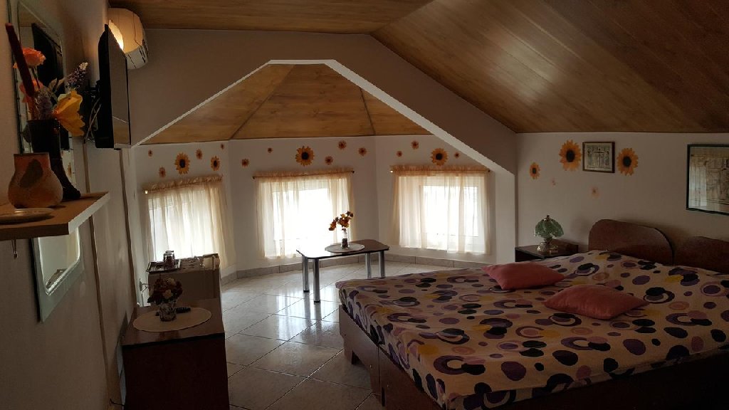 VILA-LIZ-EFORIE-NORD-ROMANIA-AIR-TOUR-TRAVEL-5