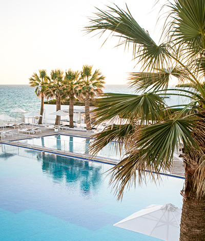 white-palace-early-bird-special-offer-17654